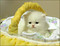 Кот решил заняться делом))))