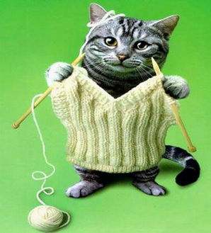 Кот решил заняться делом))))