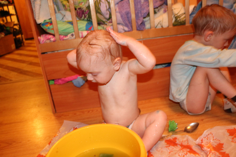 Отчет Лягушка