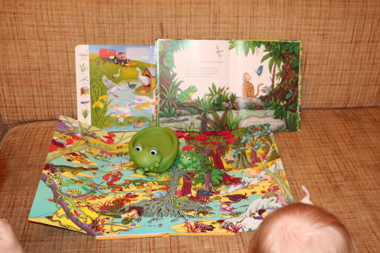 Отчет Лягушка