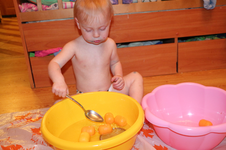 Отчет Лягушка