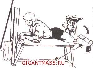 Первые шаги