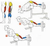 Первые шаги