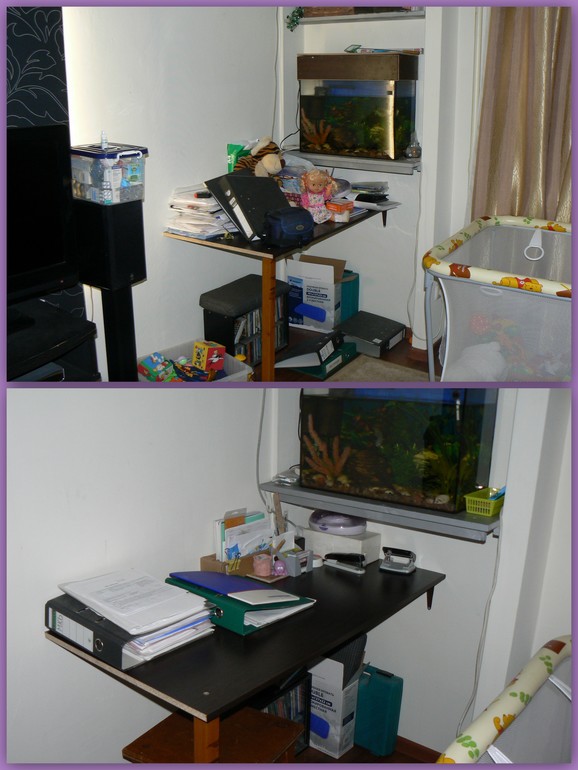 ФЛ 67/Диплом