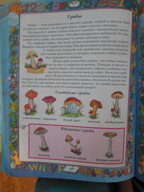 ТЗ по В. Сутеев "Живые грибы"