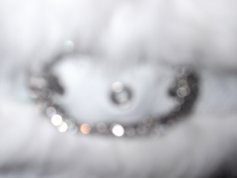 Сапоги Paolo Conte-39р.