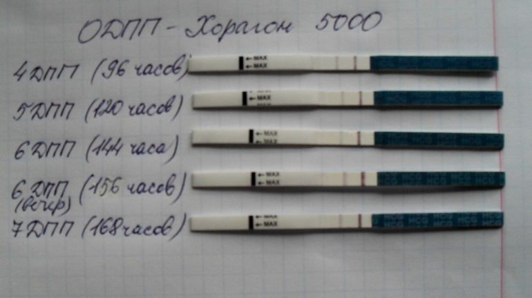 Как вы думаете, это ОНО???