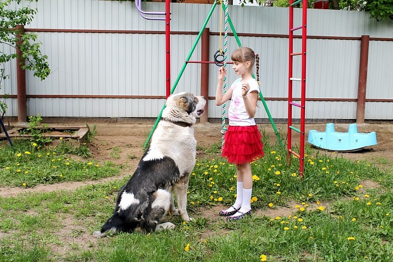 Доча и алабайчик))