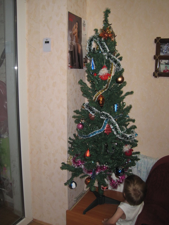 вот и мы поставили елку