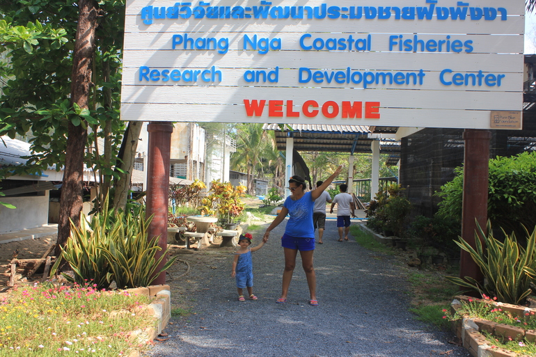 Пролетели 2 недели на Пхукете..... (пост №1)