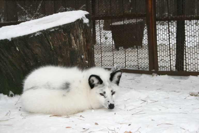 Томская Писаница! что соскучилась я по ней... (утомительный пост)