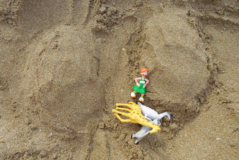 Шичида на... пляже )