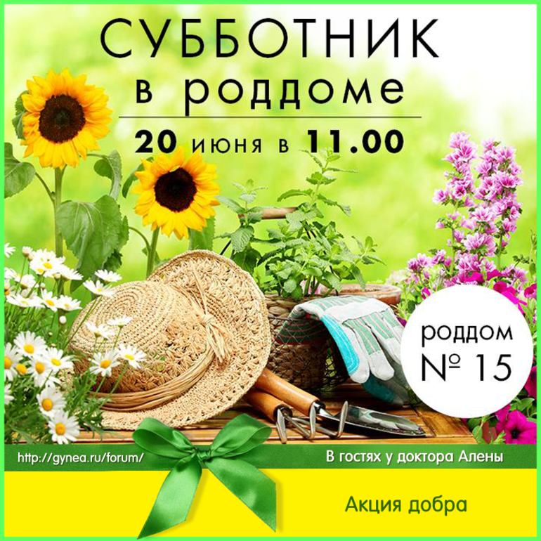Что такое томат сорт носик Что такое томат сорт носик