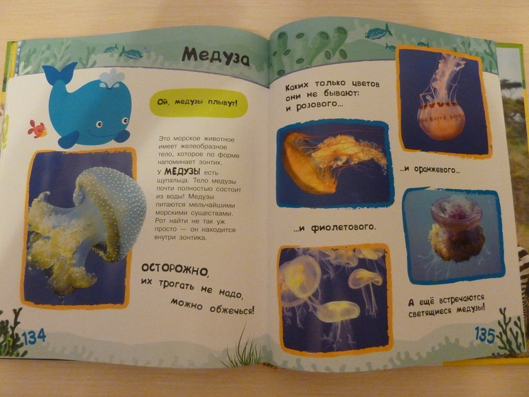 А началось все с курочки рябы;)