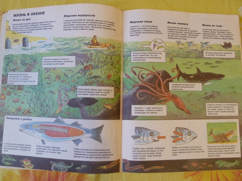 Назад в прошлое...