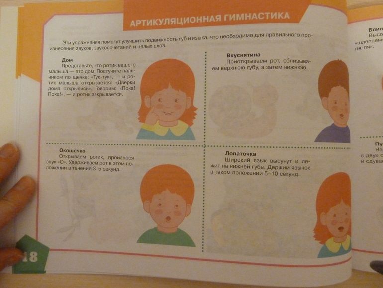 А началось все с курочки рябы;)