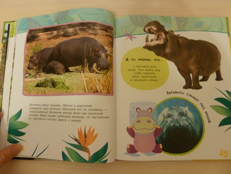 А началось все с курочки рябы;)