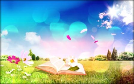 Книжная полка (мечты сбываются) часть-3.