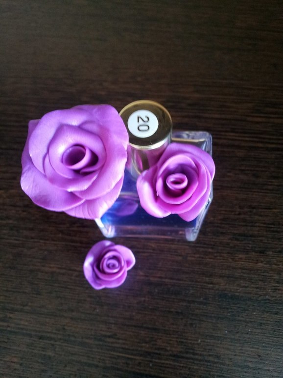 Эволюция моих розочек!