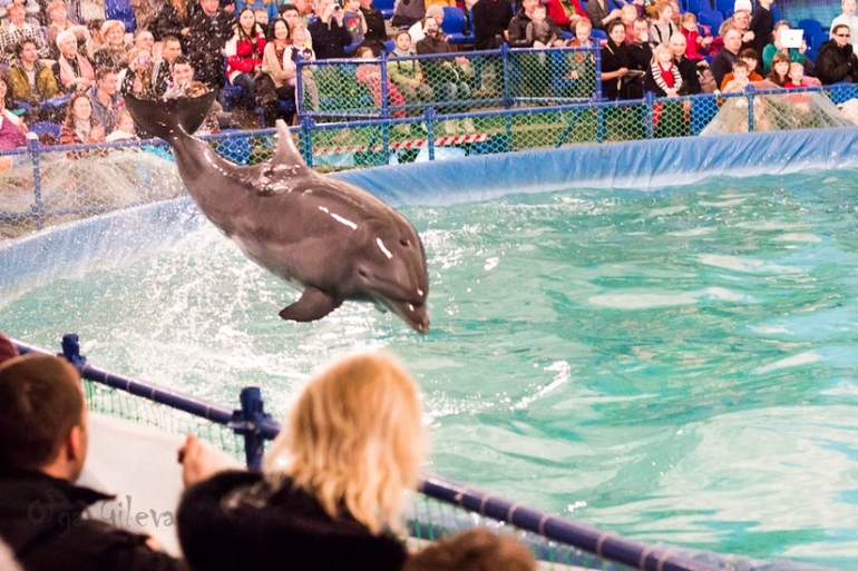 Морское в Екатеринбурге.