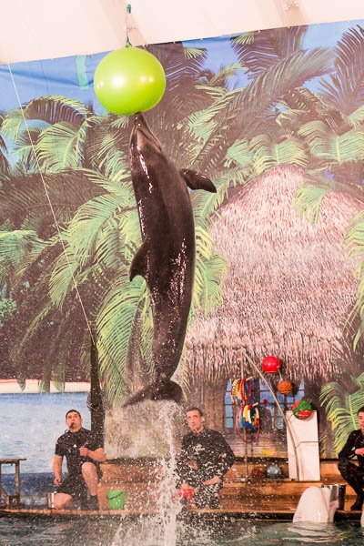 Морское в Екатеринбурге.