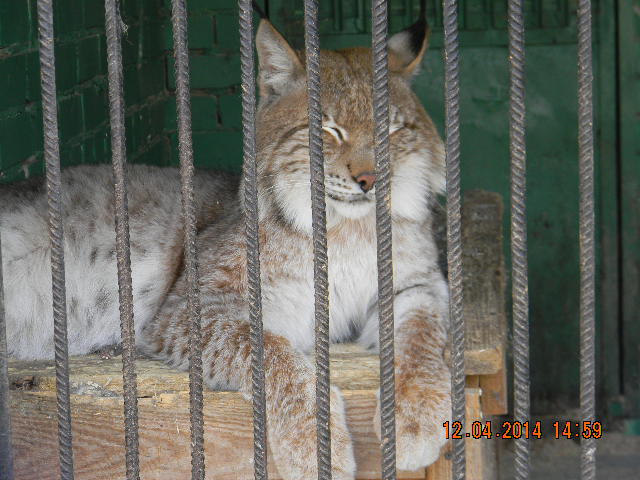 И мы зоопарк осилили!!!