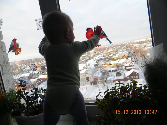 ЁЛКА-ЁЛКА!!!!!!