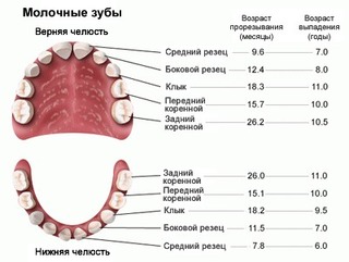 Несколько молочных зубов уже удалено Несколько молочных зубов уже удалено