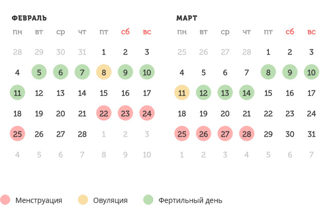 Калькулятор овуляции