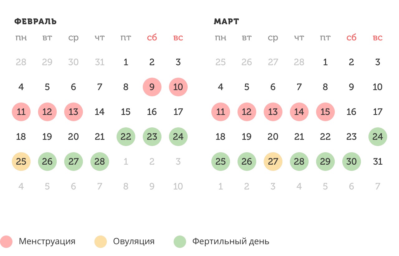Калькулятор овуляции
