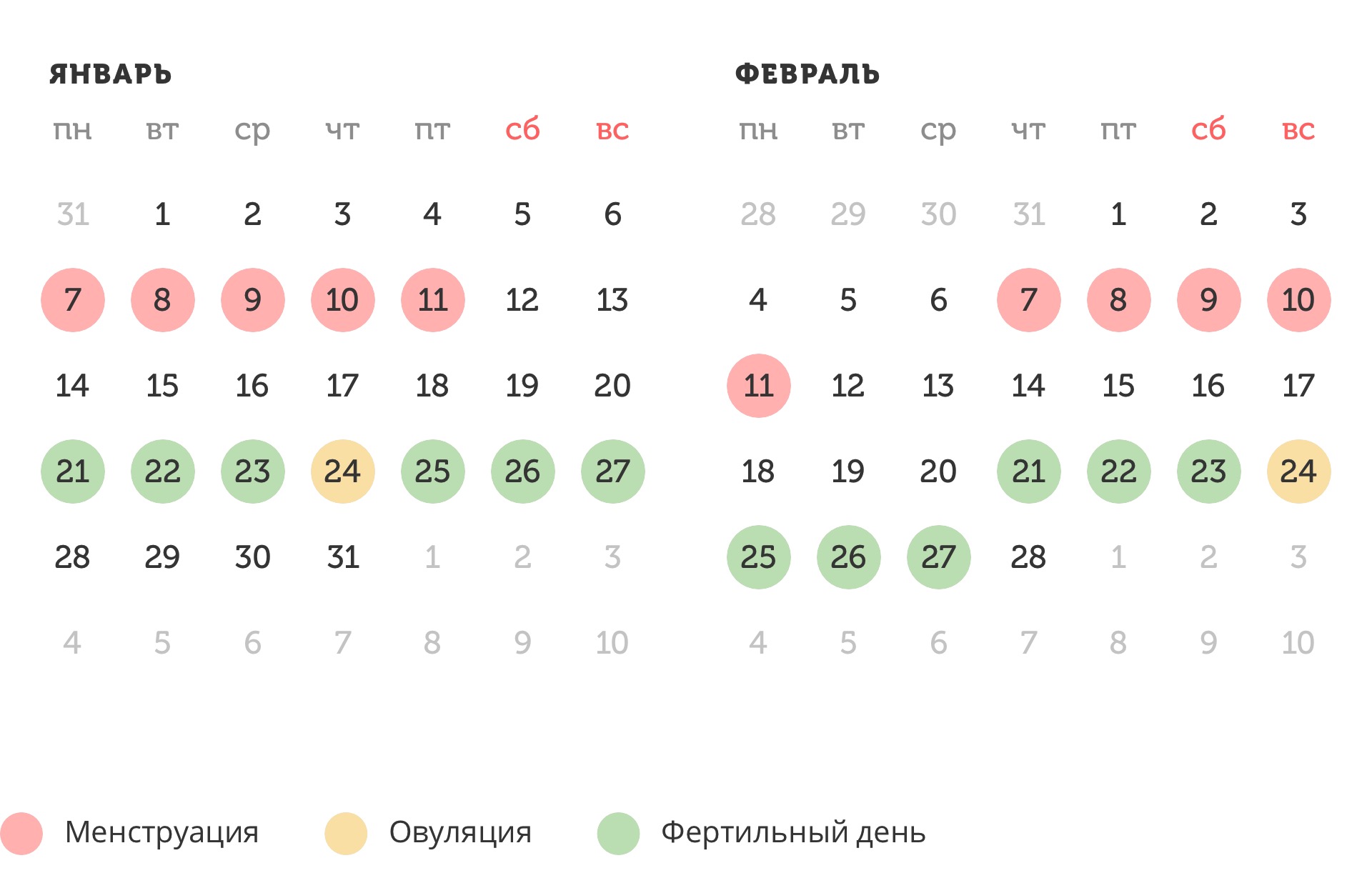 Калькулятор овуляции