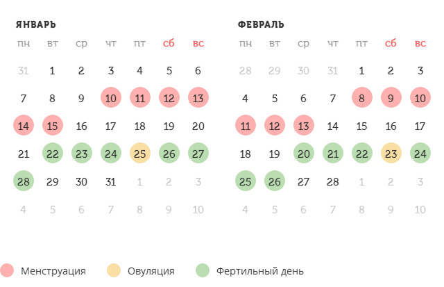 Калькулятор овуляции