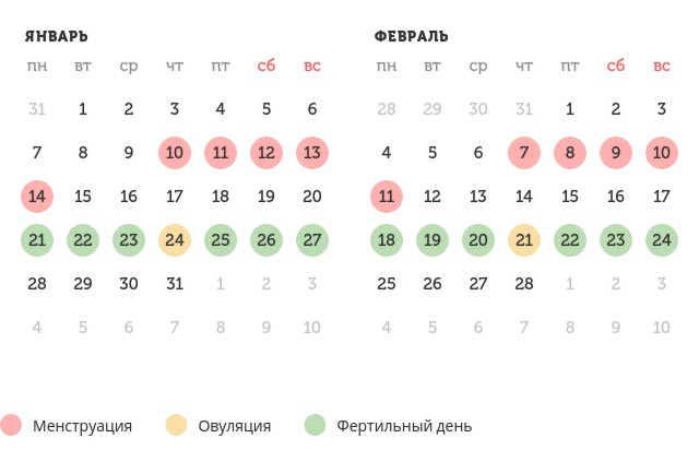 Калькулятор овуляции