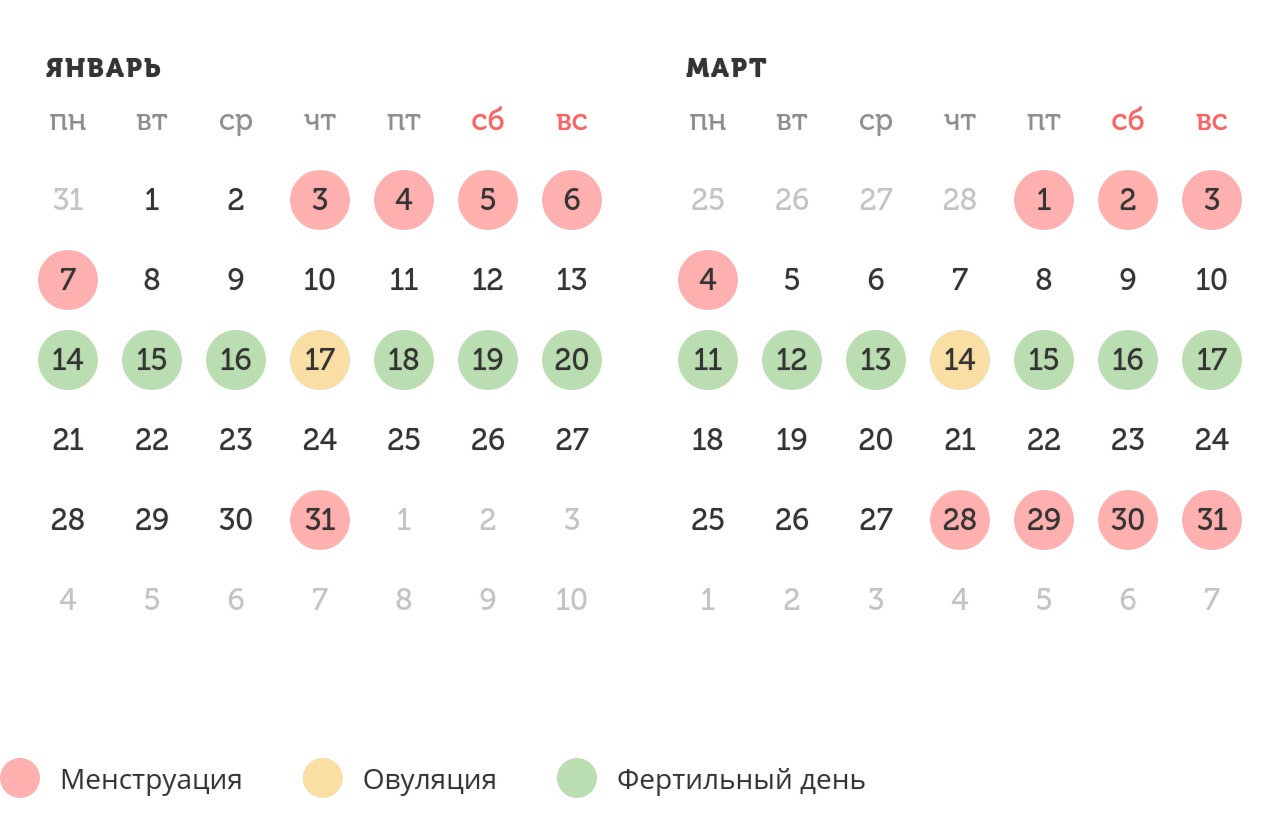 Калькулятор овуляции