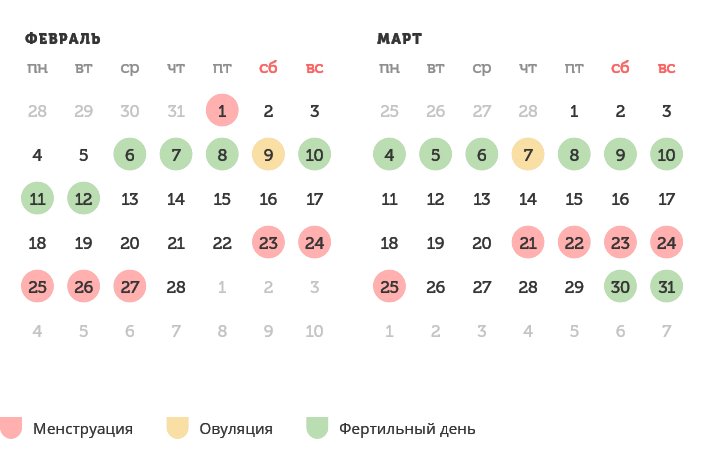 Калькулятор овуляции