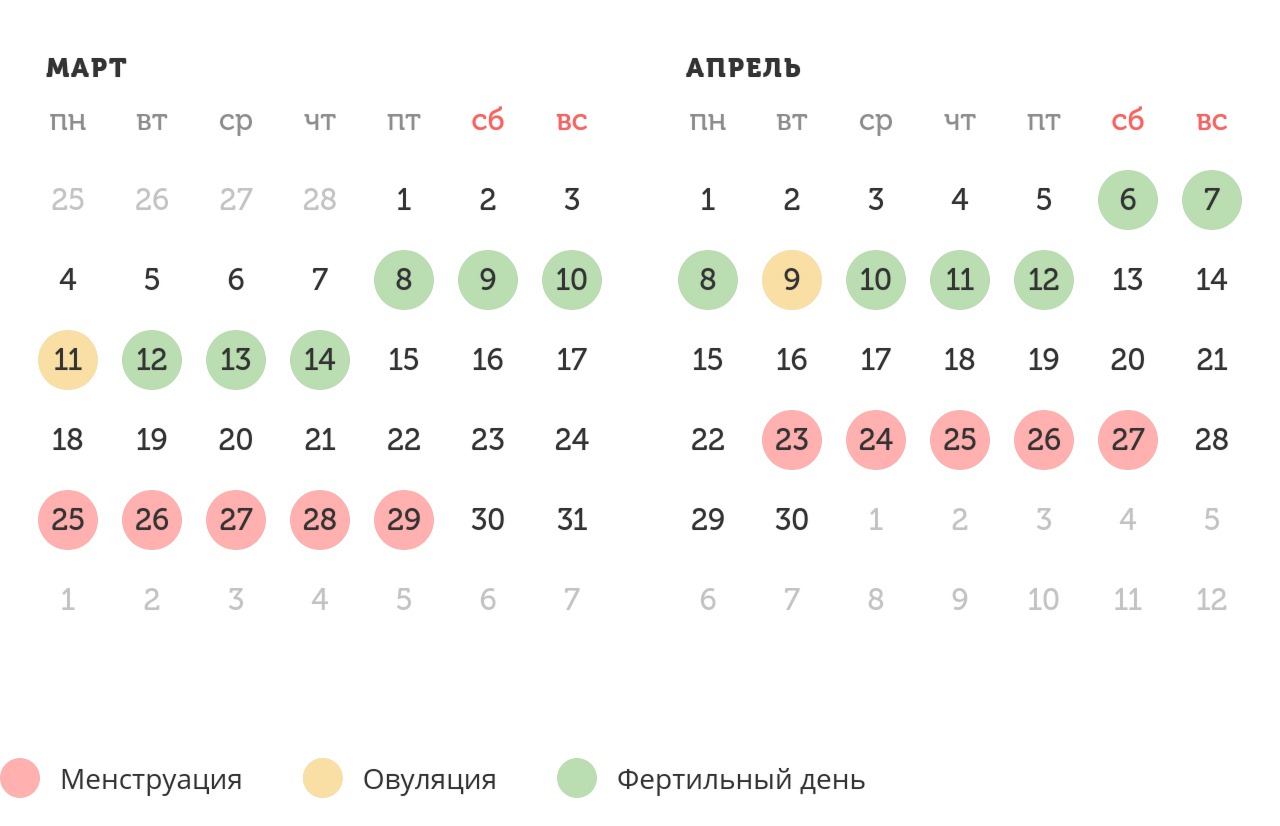 Калькулятор овуляции