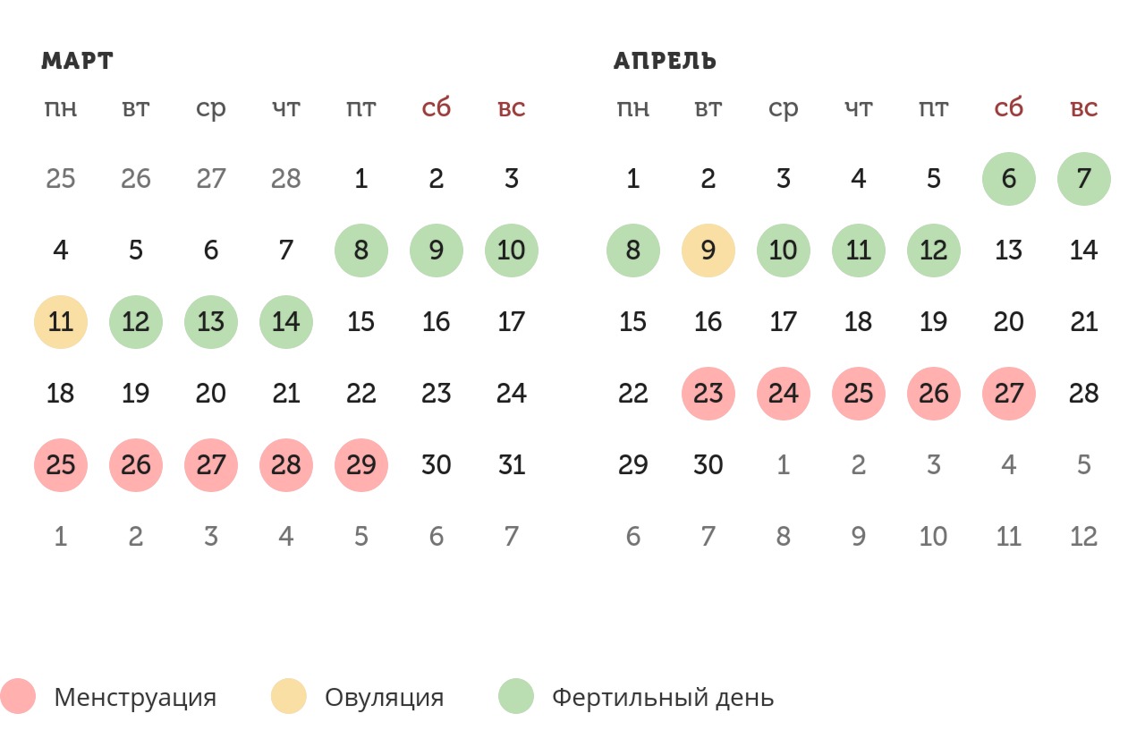 Калькулятор овуляции