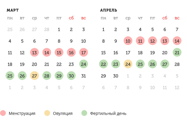 Калькулятор овуляции