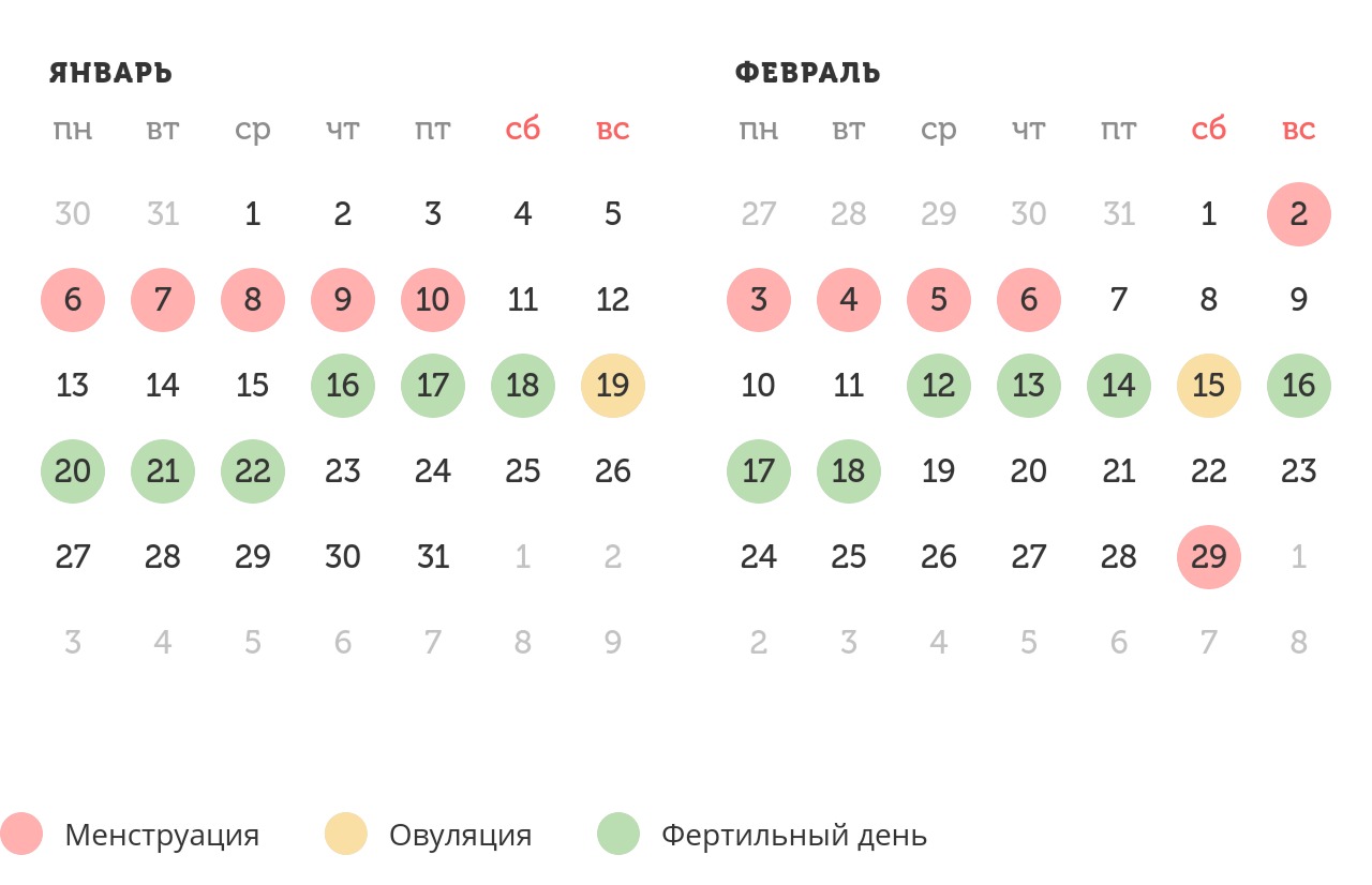 Калькулятор овуляции
