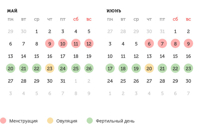 Калькулятор овуляции