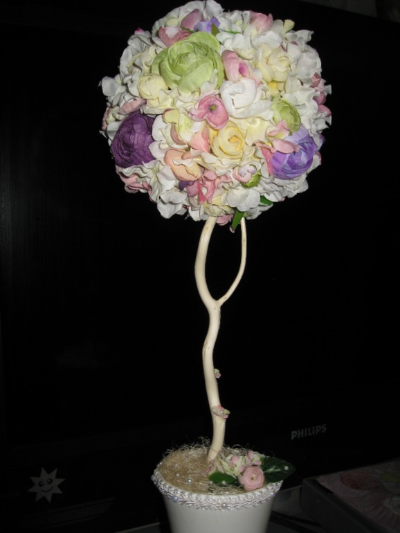 первое дерево...