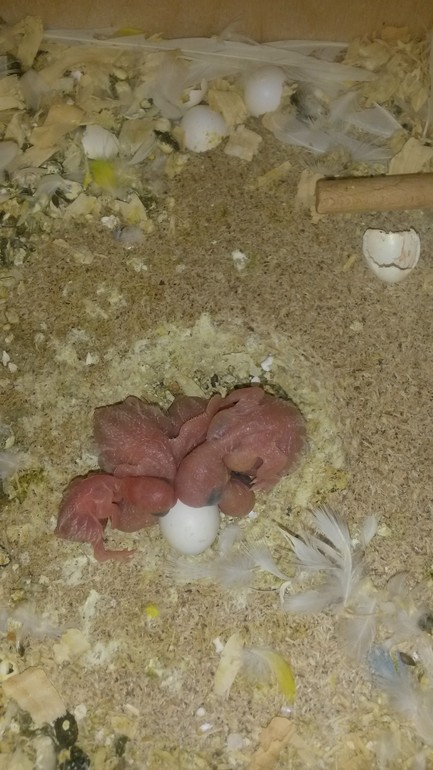 Продолжение