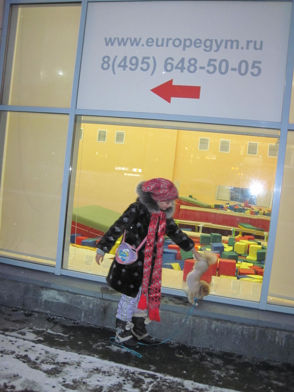 Запиши свое животное в спорт секцию!