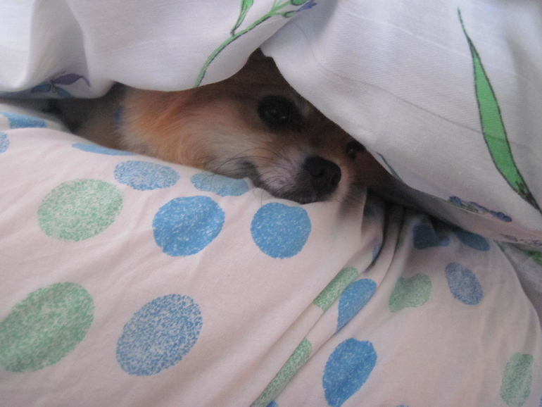 Сравним условия?