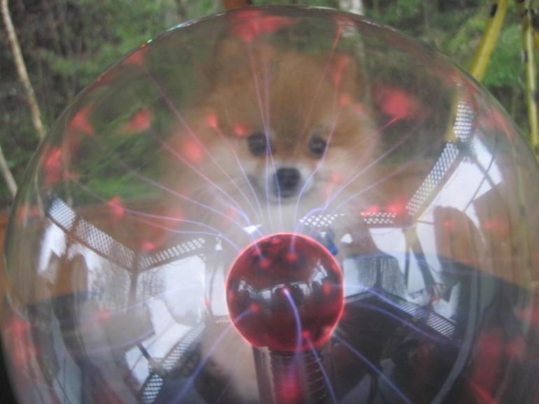 эсперементы по физике с Афами и не только!