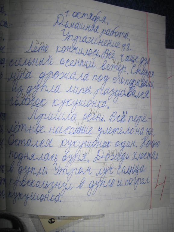 Ура, ура, ура! Четверки!