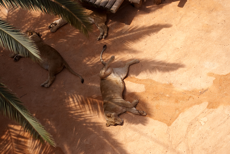 Португалия 2 часть