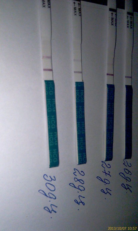 30 д.ц,динамика тестов....переживаю