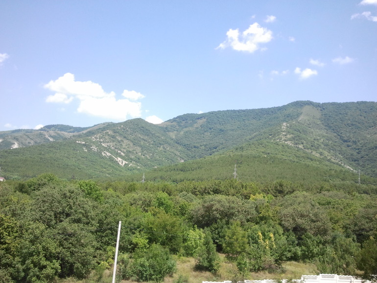 Роддом в Геленджике