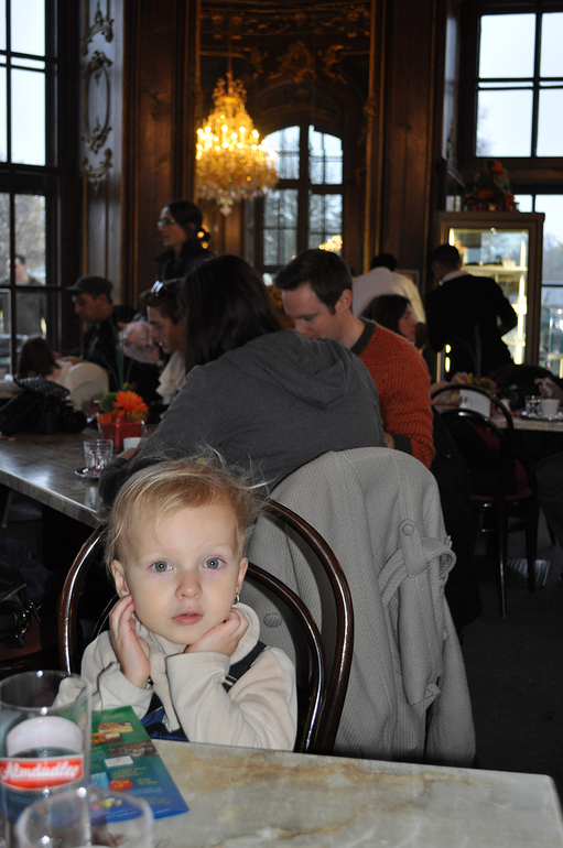 Вена... волшебная Вена!